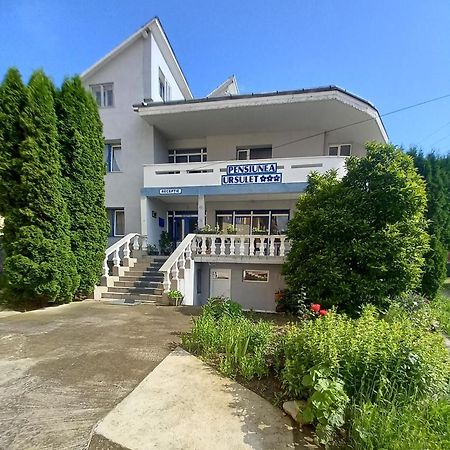 Pensiunea Ursulet Piatra Neamţ Exterior foto