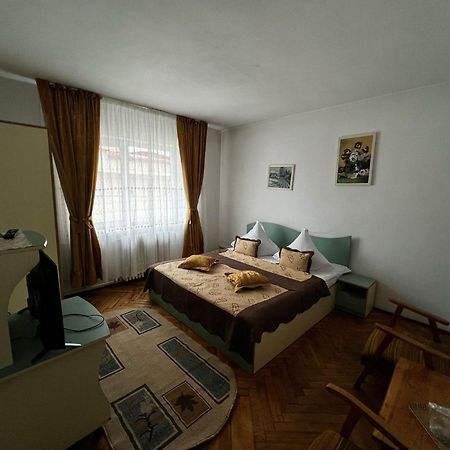 Pensiunea Ursulet Piatra Neamţ Exterior foto