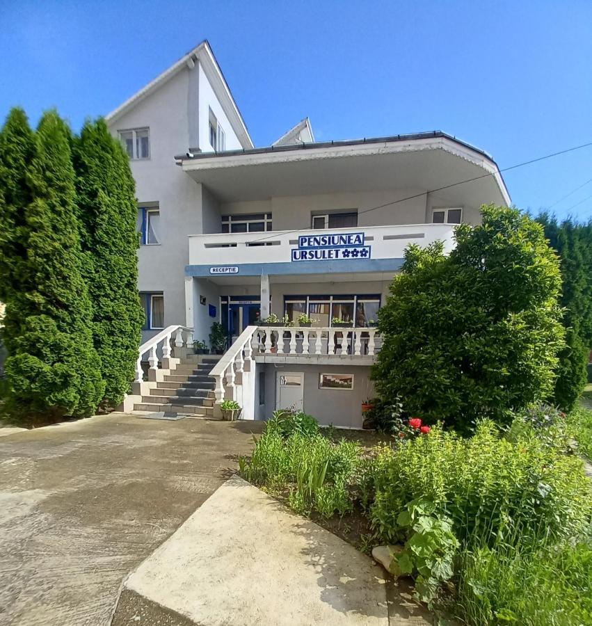 Pensiunea Ursulet Piatra Neamţ Exterior foto