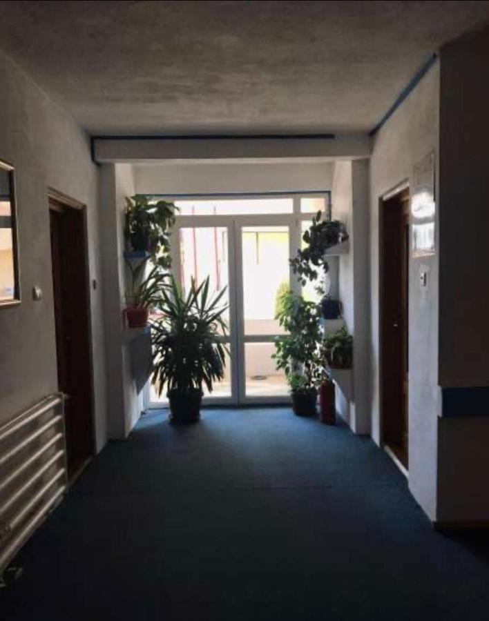 Pensiunea Ursulet Piatra Neamţ Exterior foto